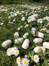 Load image into Gallery viewer, Dish Washing Soap Fizzie Tablet Samples (Exclusive to Vancouver BC)