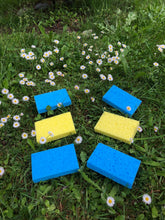 Load image into Gallery viewer, Compostable 6 Pack Kitchen Sponge (Free Shipping Vancouver/GVA)
