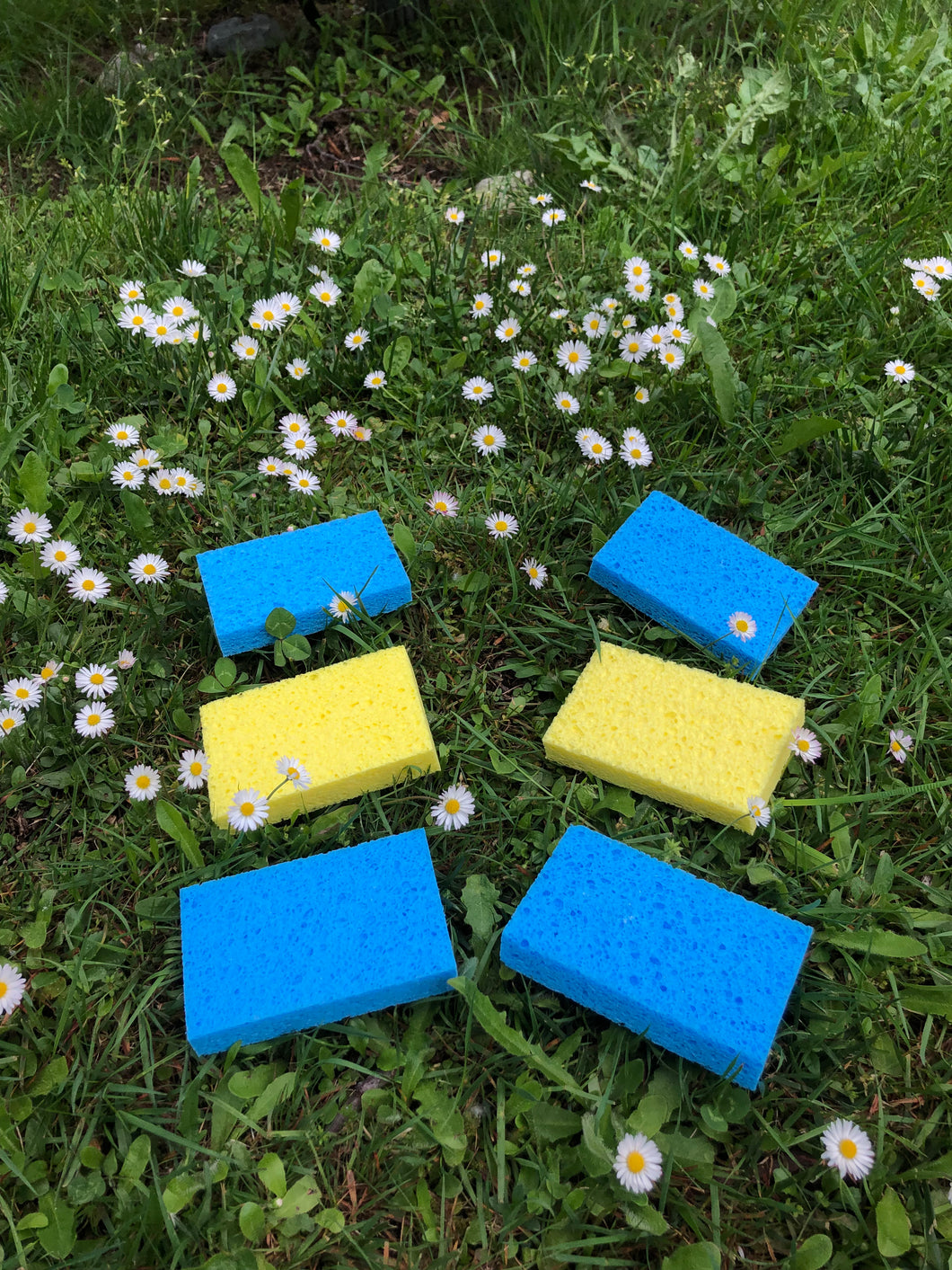 Compostable 6 Pack Kitchen Sponge (Free Shipping Vancouver/GVA)
