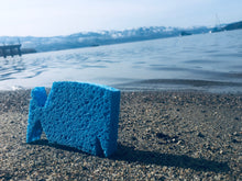 Load image into Gallery viewer, Compostable Cellulose 6 Pack Kitchen Sponge (Free Shipping Vancouver/GVA)
