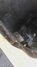 Load and play video in Gallery viewer, Garbage Bin Cleaning (GVA BC ONLY)
