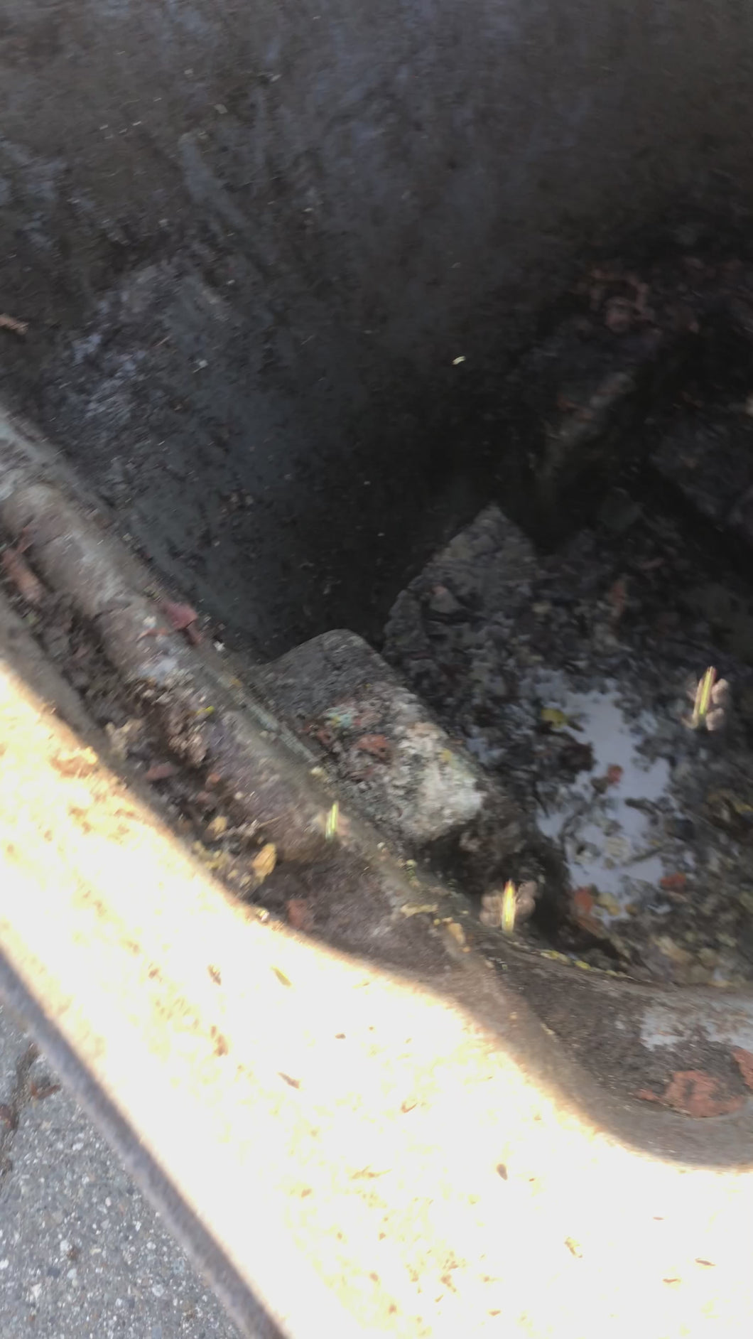 Garbage Bin Cleaning (GVA BC ONLY)