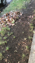 Load and play video in Gallery viewer, Leaf Raking (GVA BC ONLY)

